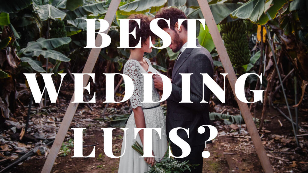 Best Wedding Luts for Video Editing